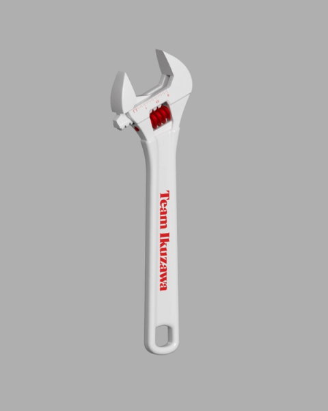 Team Ikuzawa - image 7