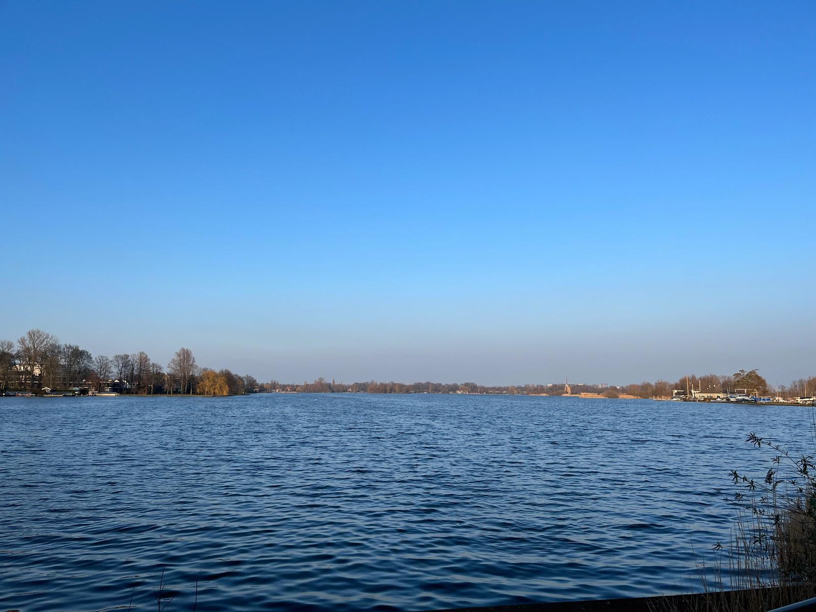 lake with blue sky and trees in the background