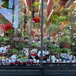 a lot of fluffy pandas in a store front with lanterns mirroring in the window