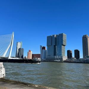 water with skyline of Rotterdam, including suspension bridge and large building that consists of three towers
