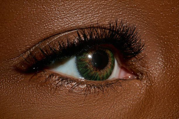 lashes