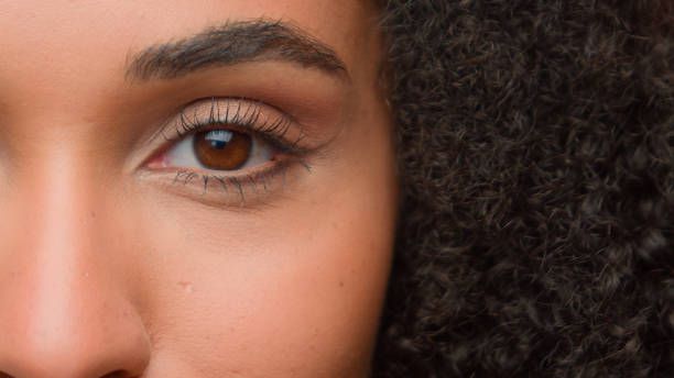 lashes