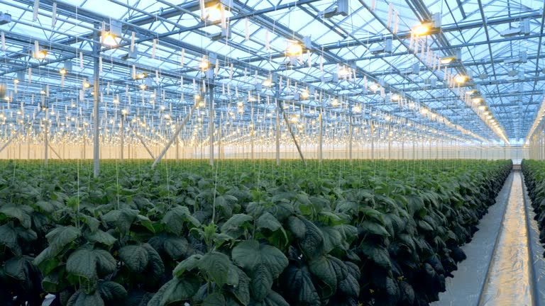 Agritech