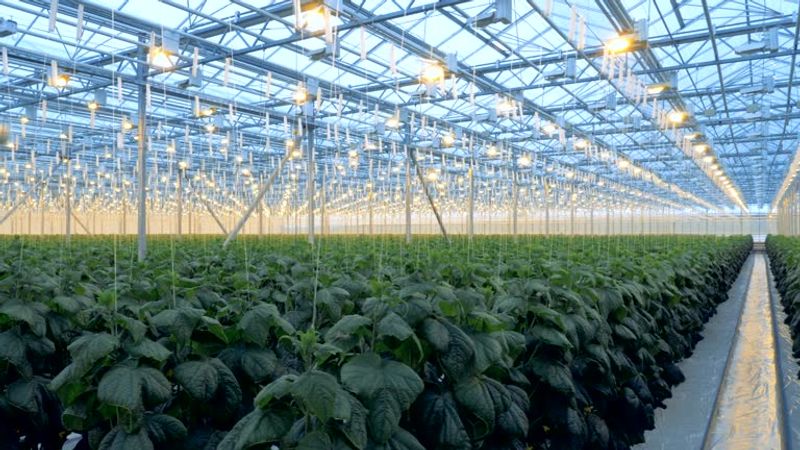 Agritech