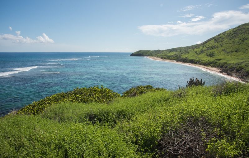 Elevated Sea View of Jack and Isaac Bay