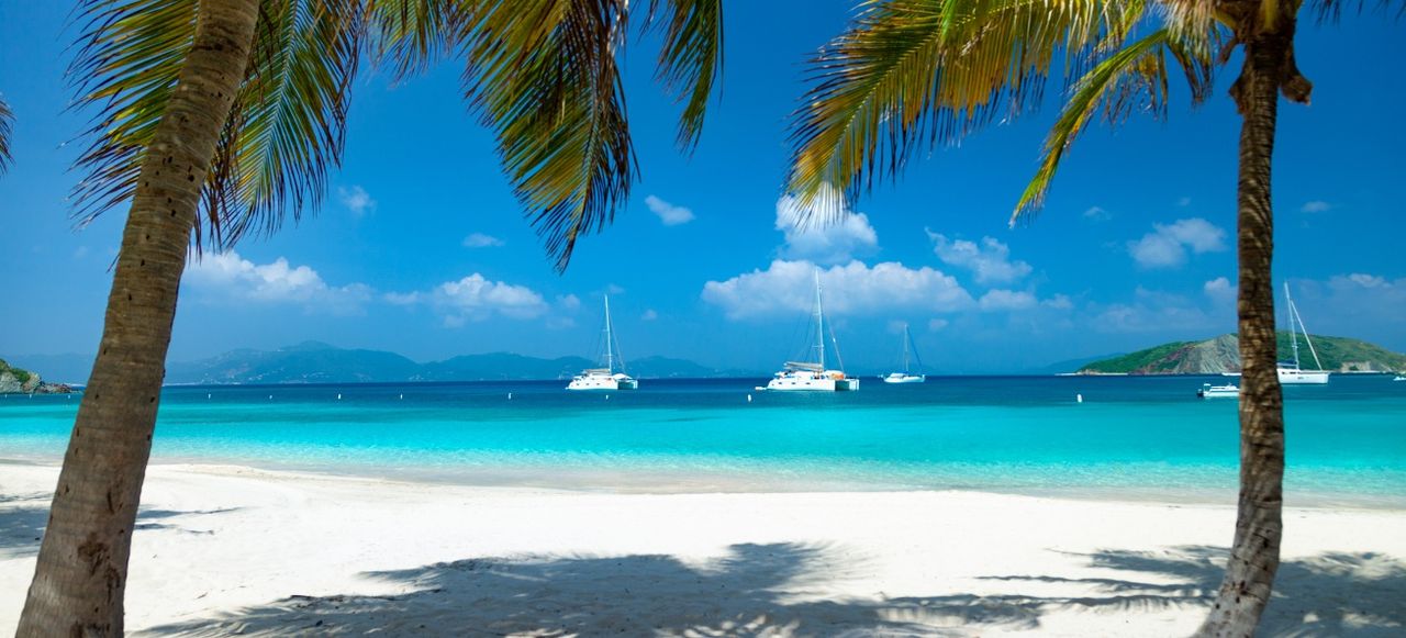 Palm trees on Deadman's beach, Peter Island