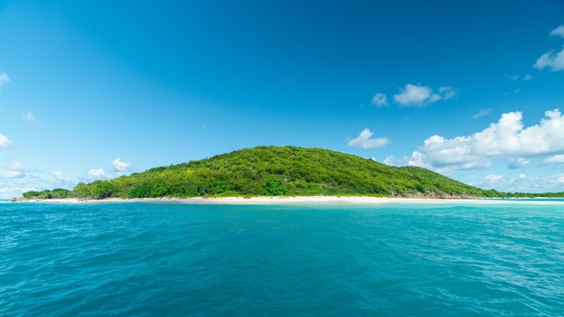 Buck Island in the Virgin Islands