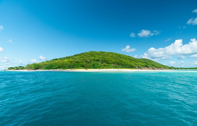 Buck Island in the Virgin Islands