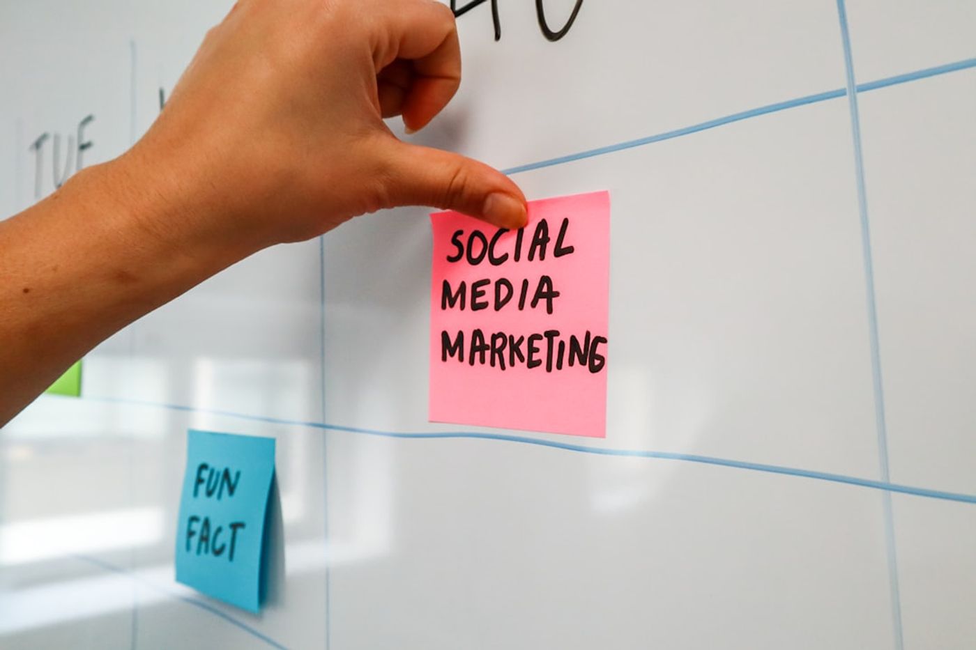 Marketing team reviewing community comments and campaign performance metrics