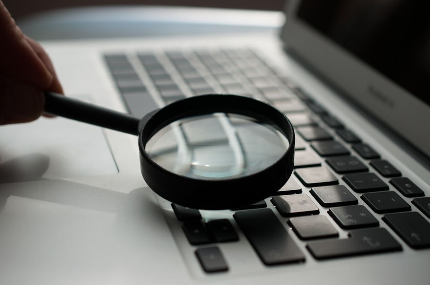 AI search results concept with chat interface and cited sources