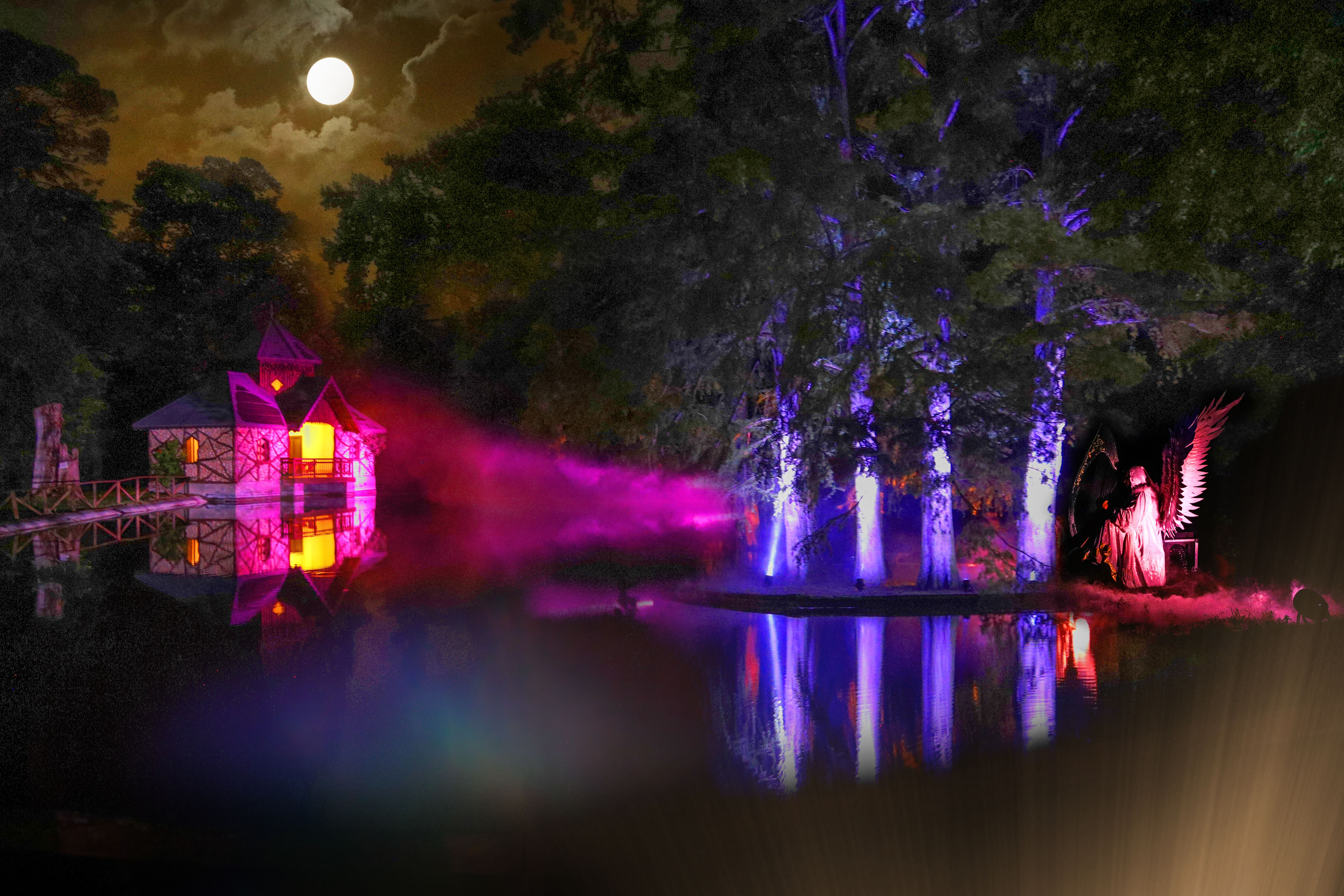 un laghetto con alcune luci