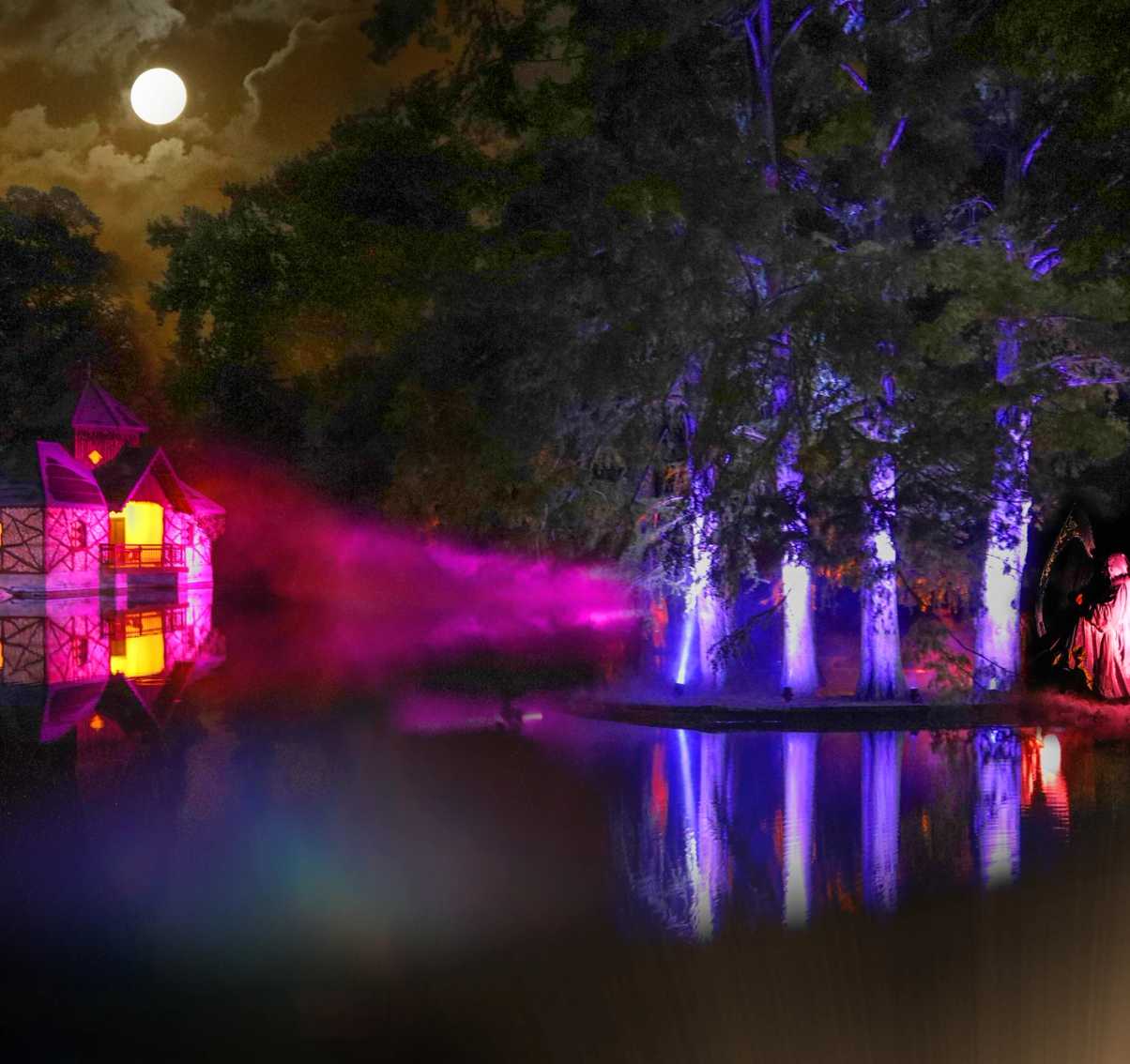 un laghetto con alcune luci