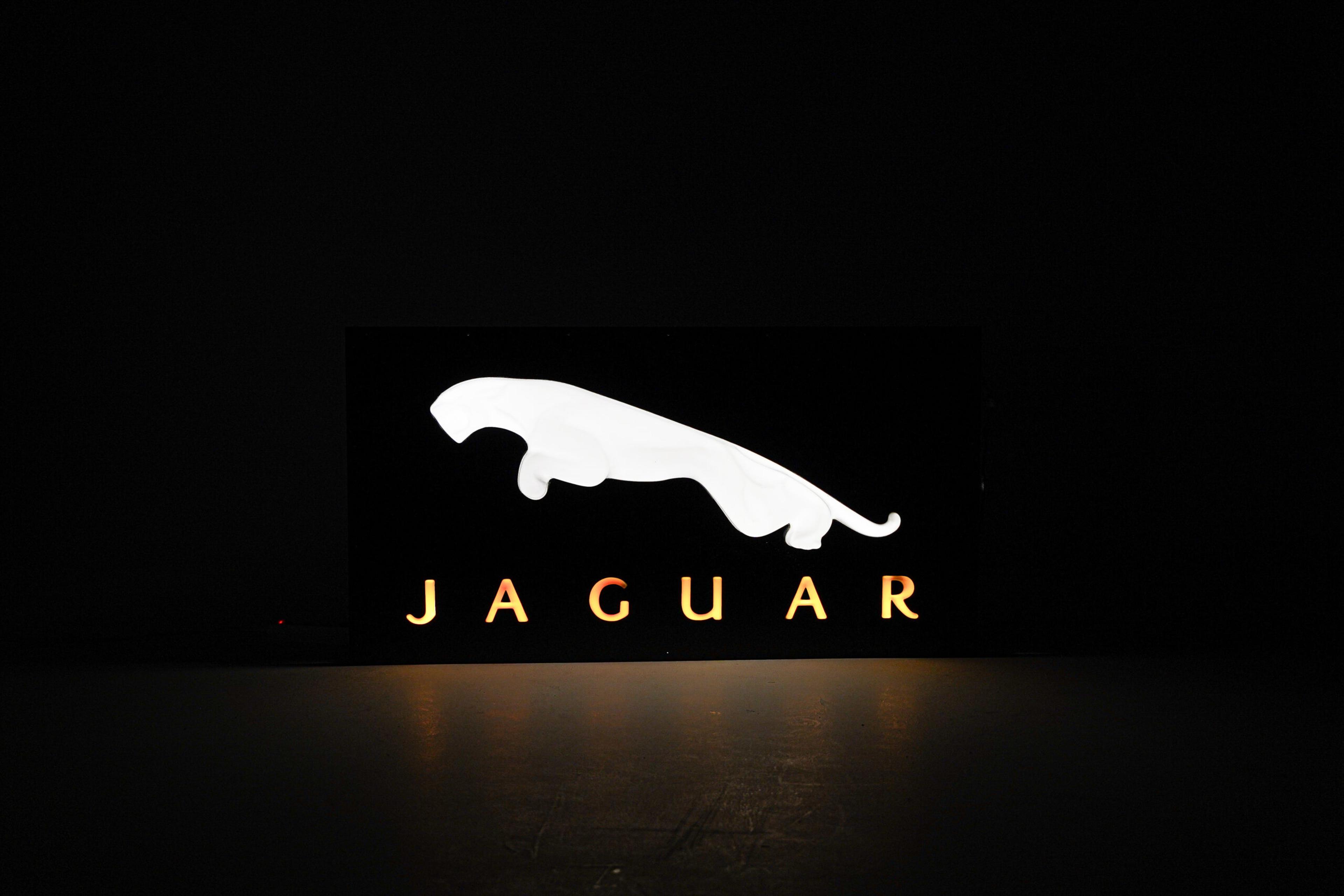 Jaguar Wall Sign - Angle view