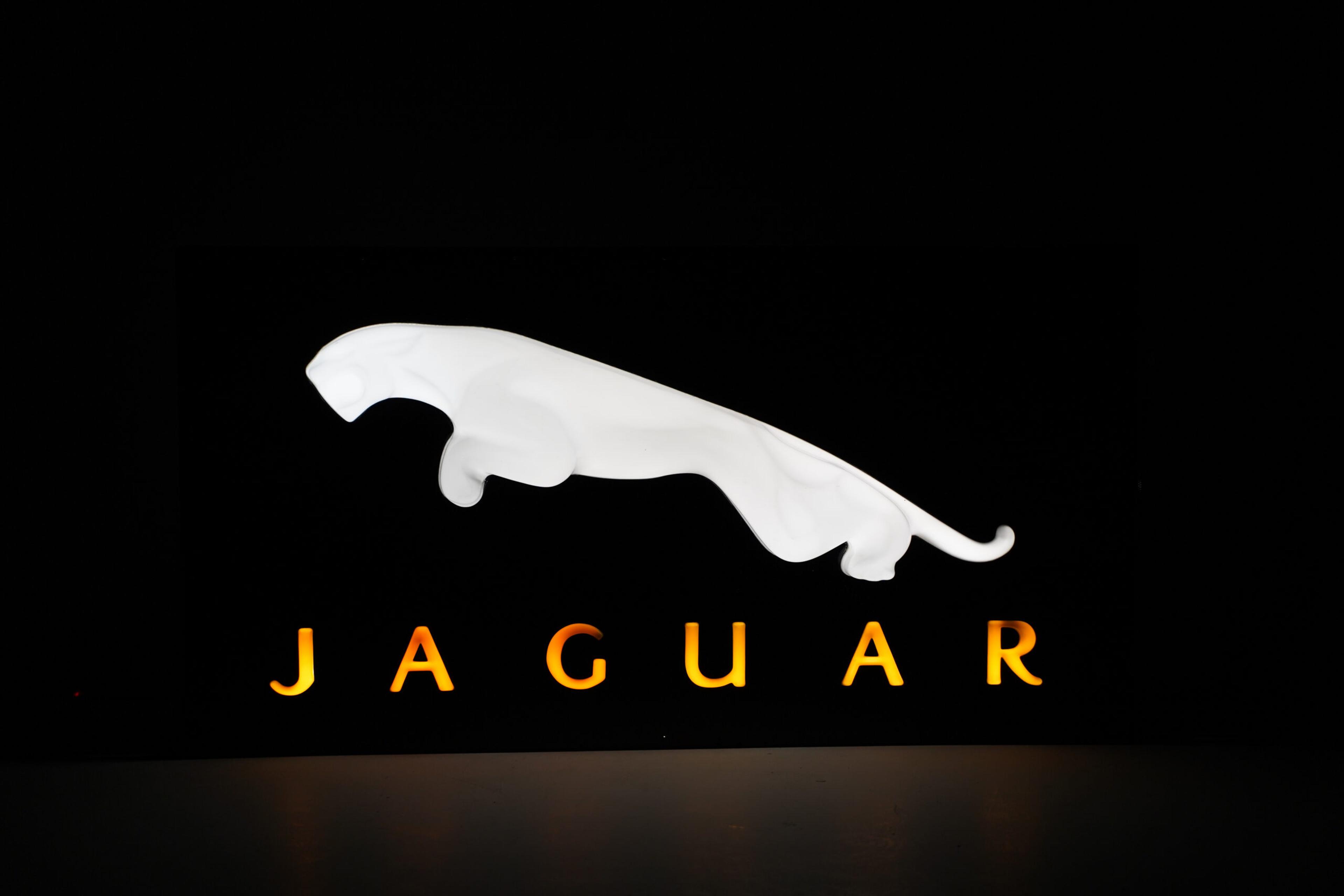 Jaguar Wall Sign - Detail