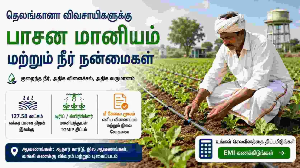 Telangana farmer using drip irrigation system in an agricultural field