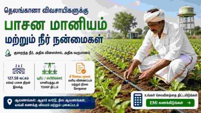 Telangana farmer using drip irrigation system in an agricultural field