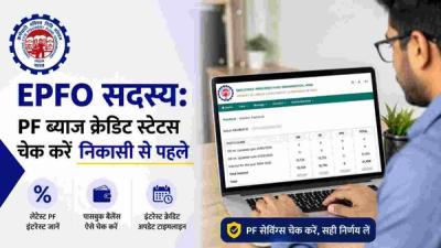 Employee checking EPF interest credit on EPFO passbook portal