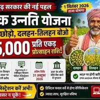 ₹15,000 Per Acre: Chhattisgarh Announces New Incentives for Farmers Diversifying Away from Paddy