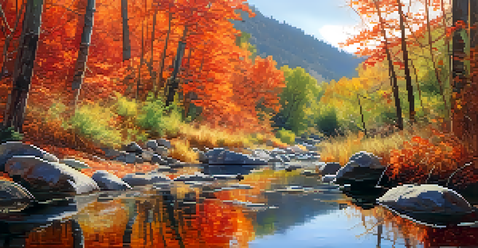 A peaceful stream along Boulder Creek Path in autumn with colorful leaves.