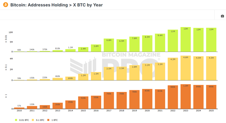 Bitcoin: Addresses Hodling > X BTC by Year