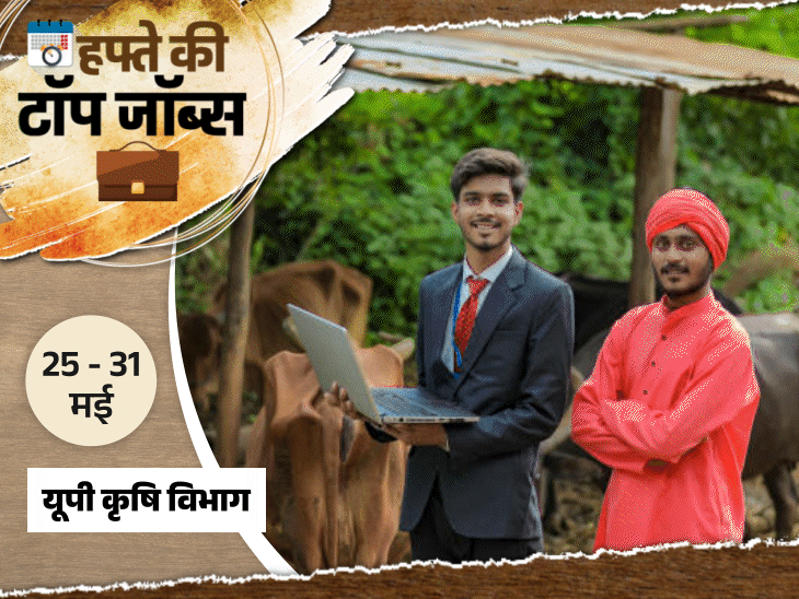SSC CGL और RSSB में 20,866 भर्तियों का नोटिफिकेशन जारी
