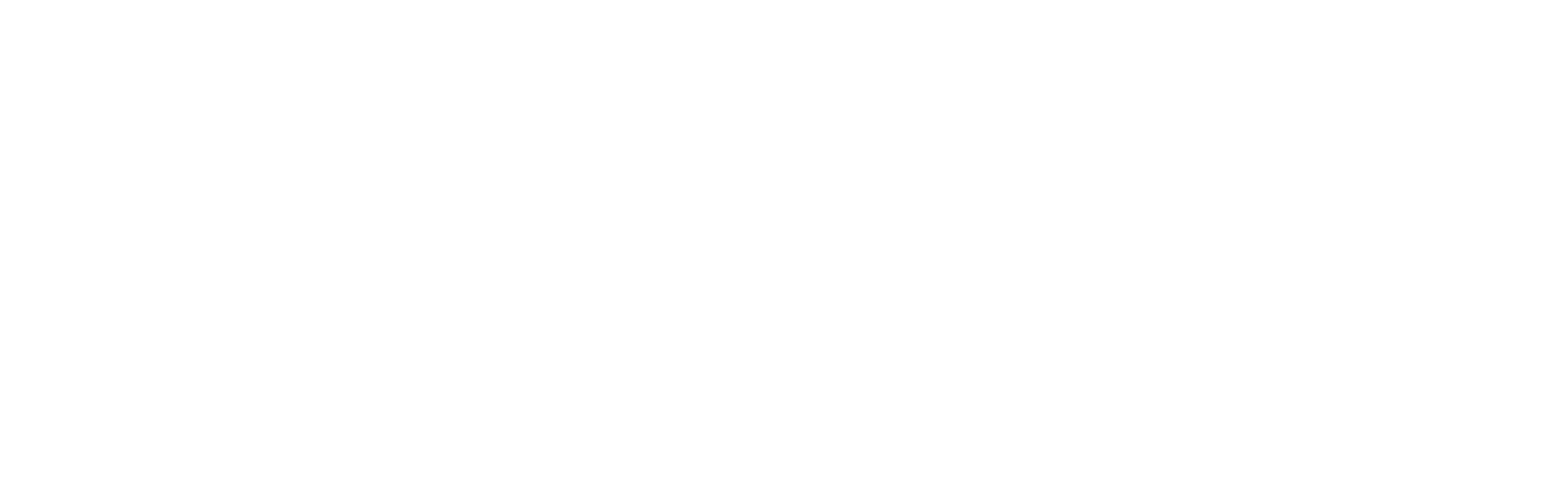 DroneLife