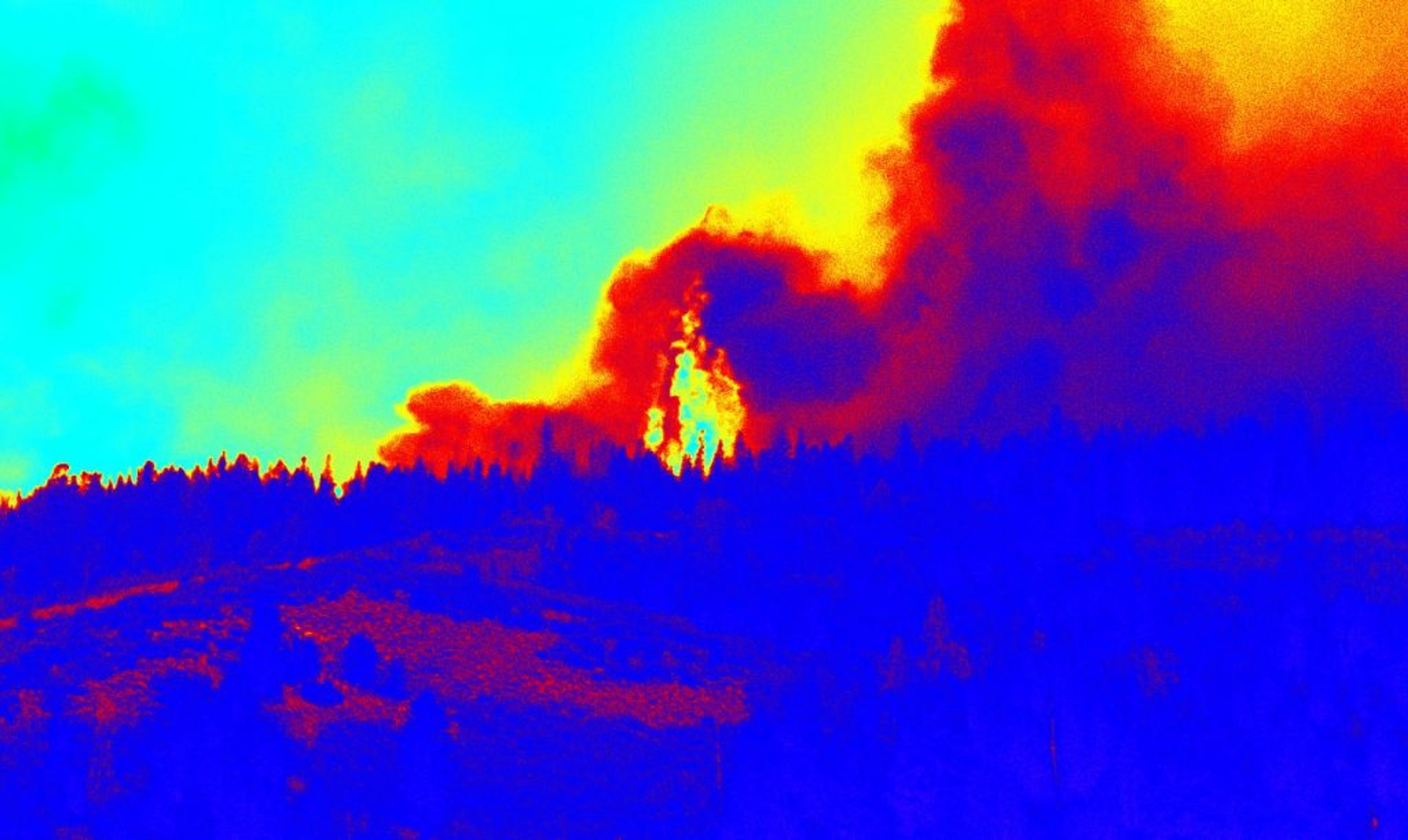 Early detection of forest fires using drones