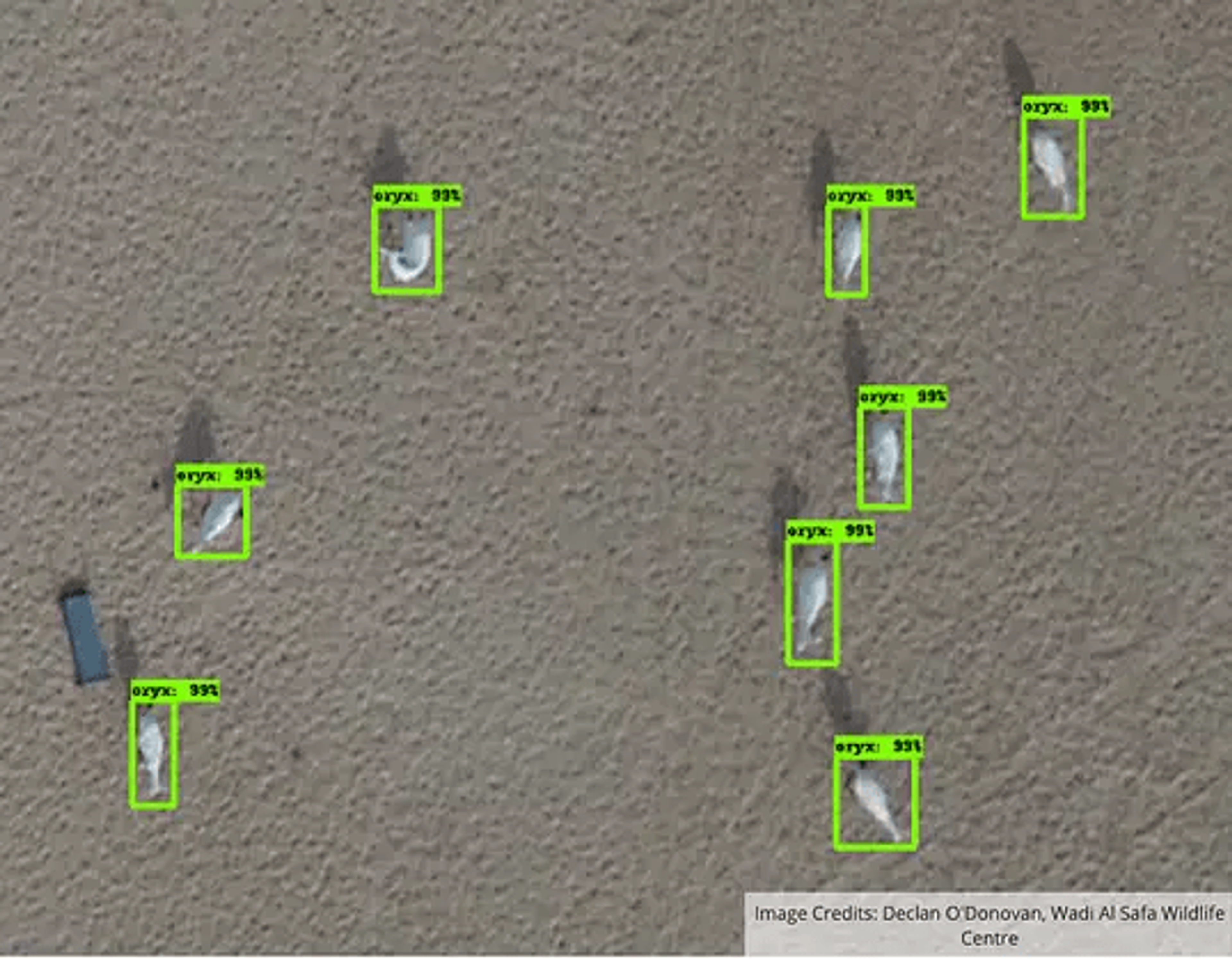 drone AI