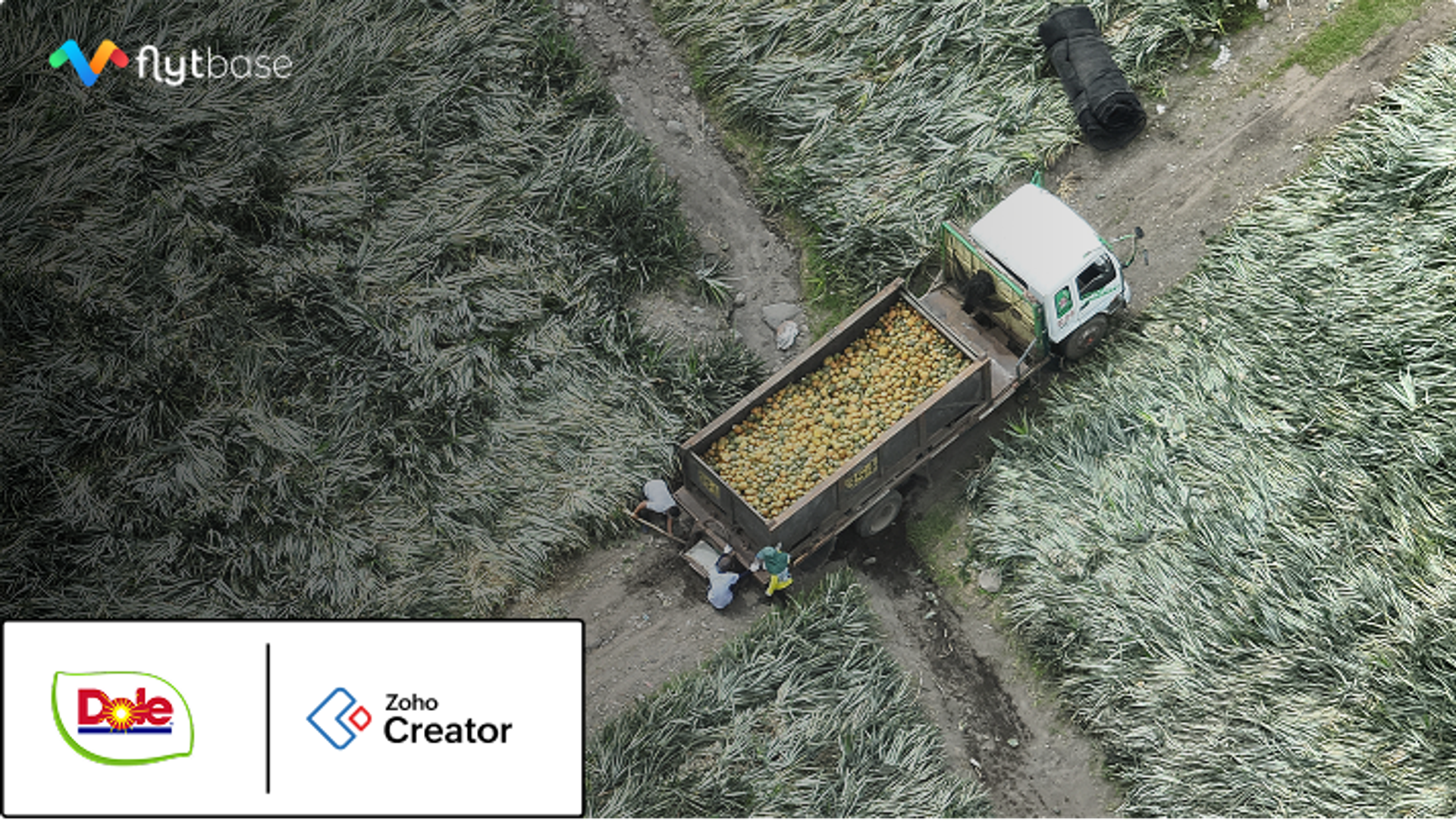 How Dole Asia Integrated FlytBase with Zoho Creator ERP: Complete Agri-Security Autonomous Operations Guide