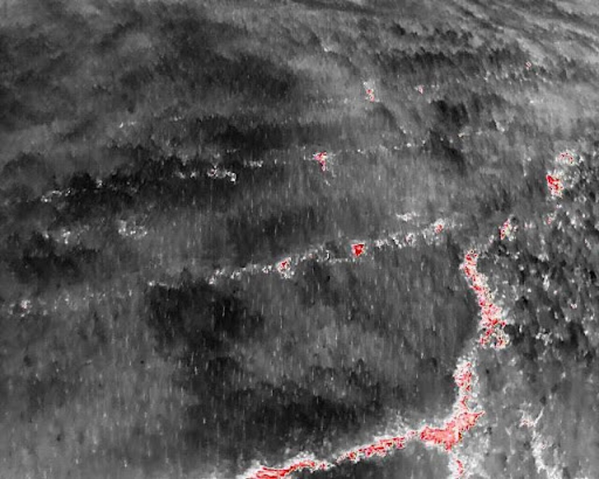 How Slovakia's Military Forest is Improving Wildfire Detection using Autonomous Drones