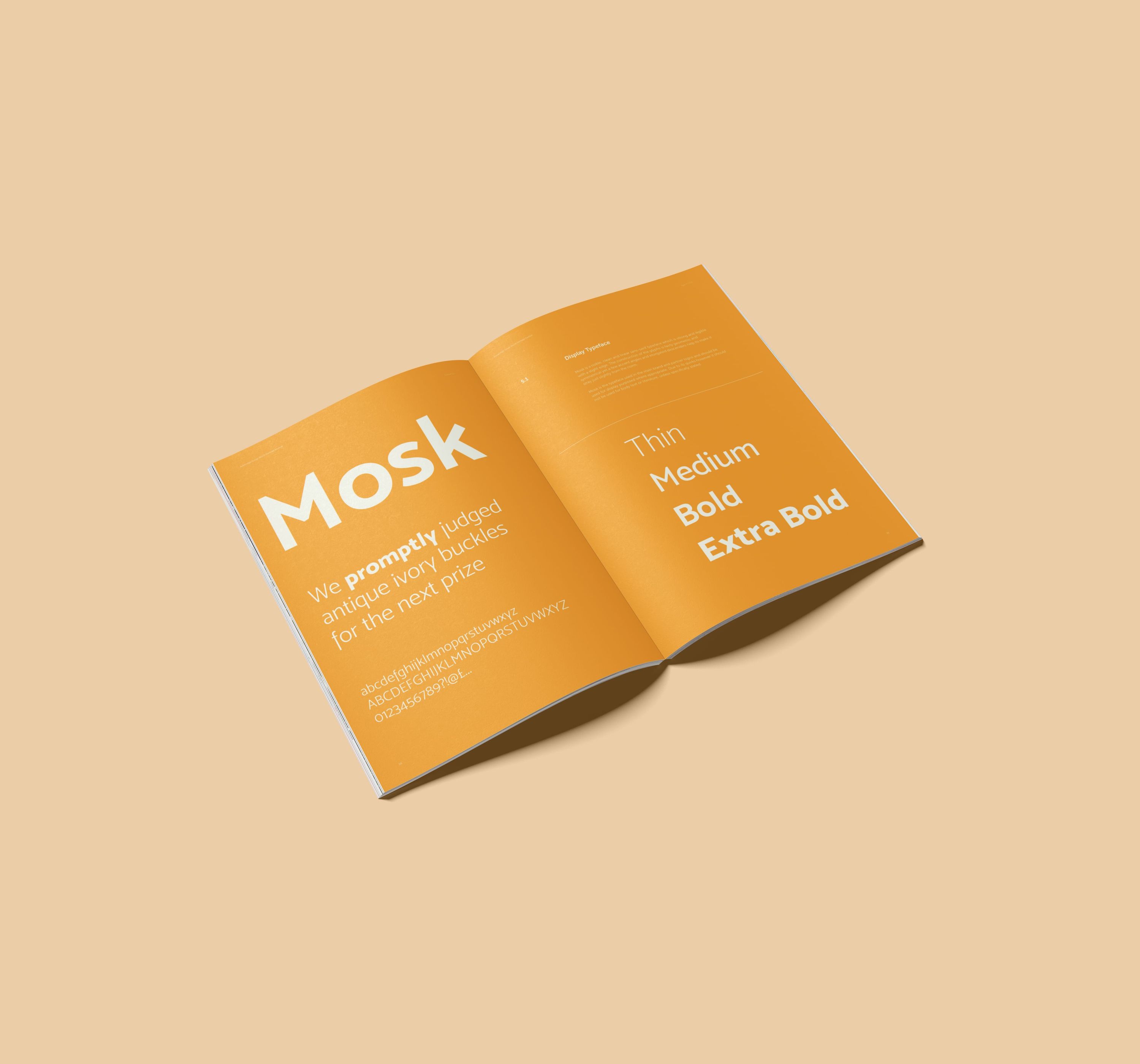 A spread from the Ironbridge Gorge World Heritage Festival's brand guidelines showing the fonts they use.