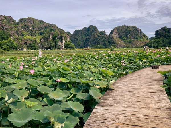 Ninh Binh, Vietnam, May 2024