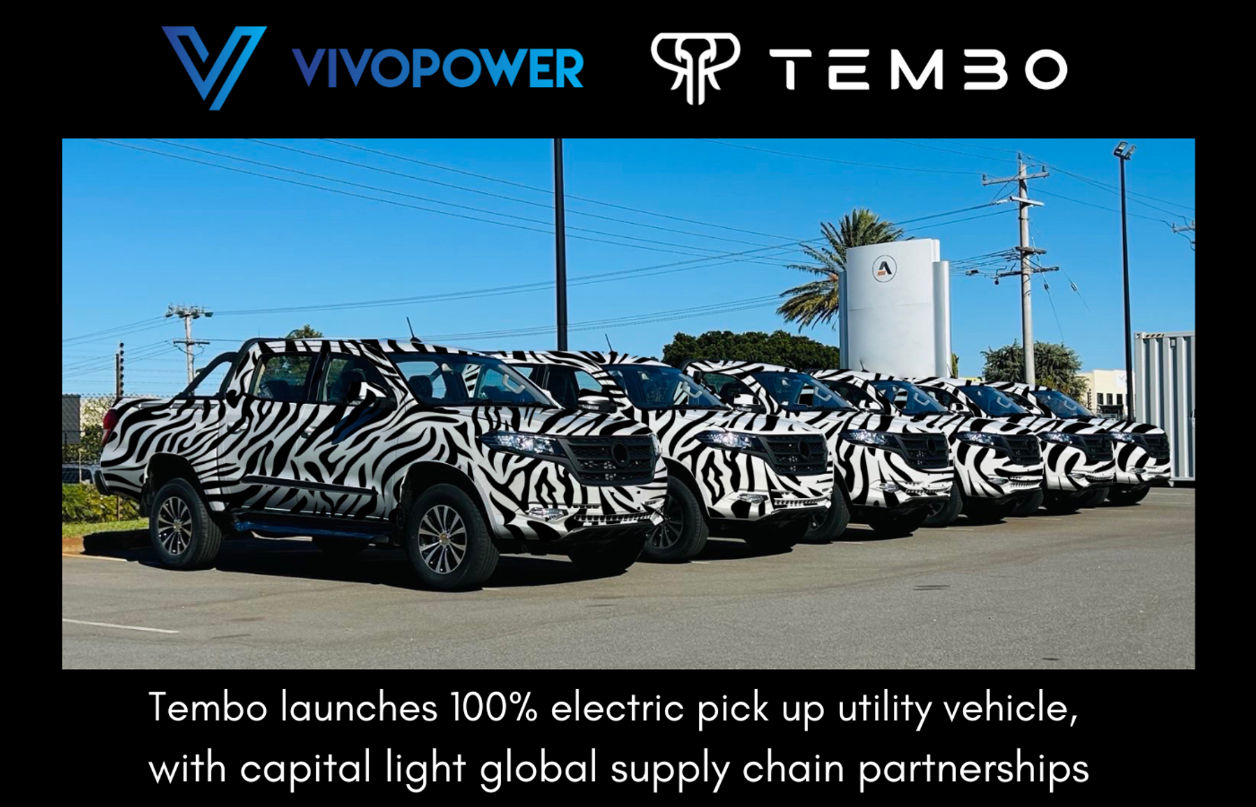 Row of Tembo electric dual-cab utes in zebra-pattern camouflage, with VivoPower and Tembo logos and launch headline