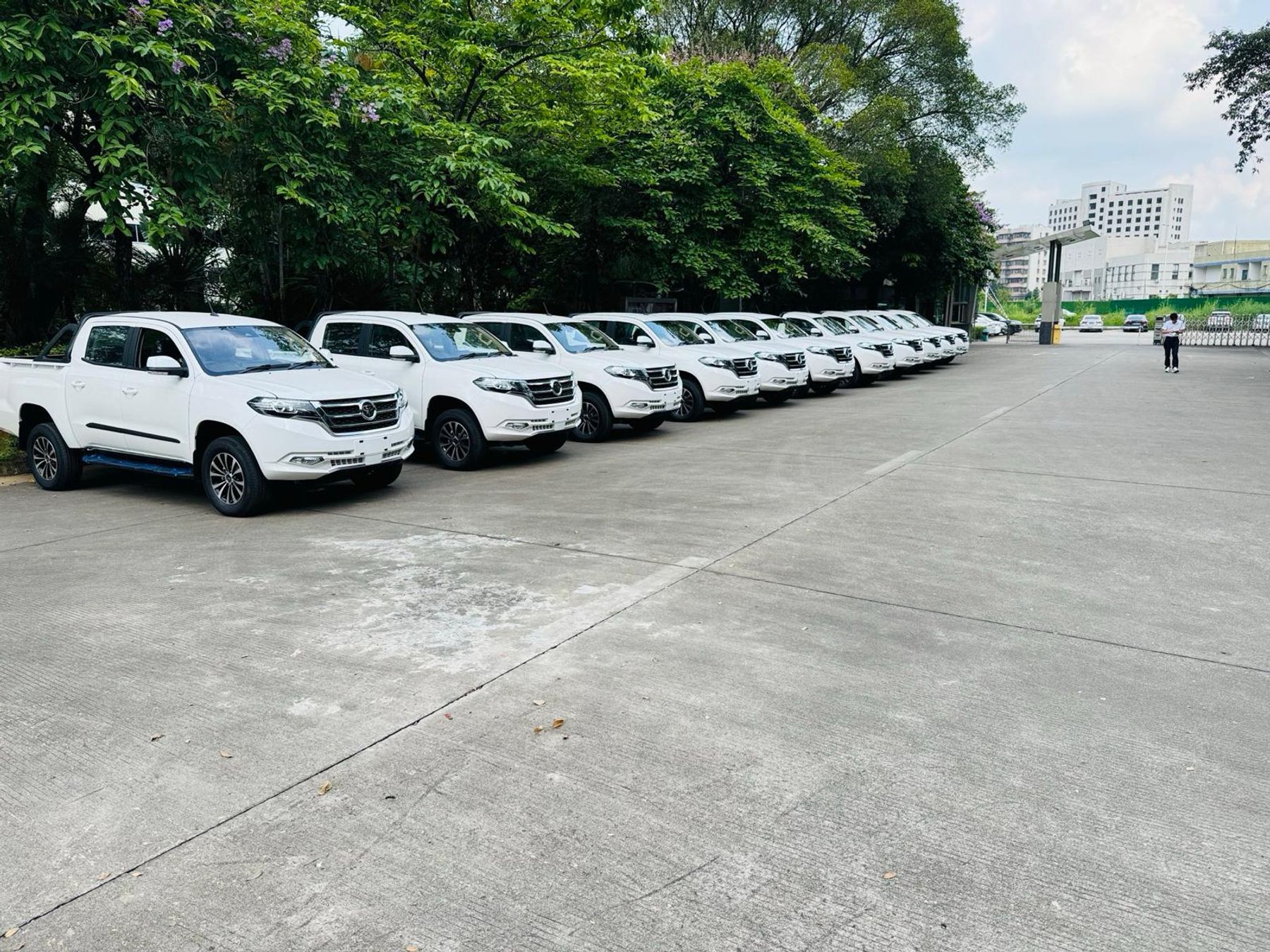Row of white Tembo Tusker dual-cab utes parked in a line along a tree-lined concrete yard