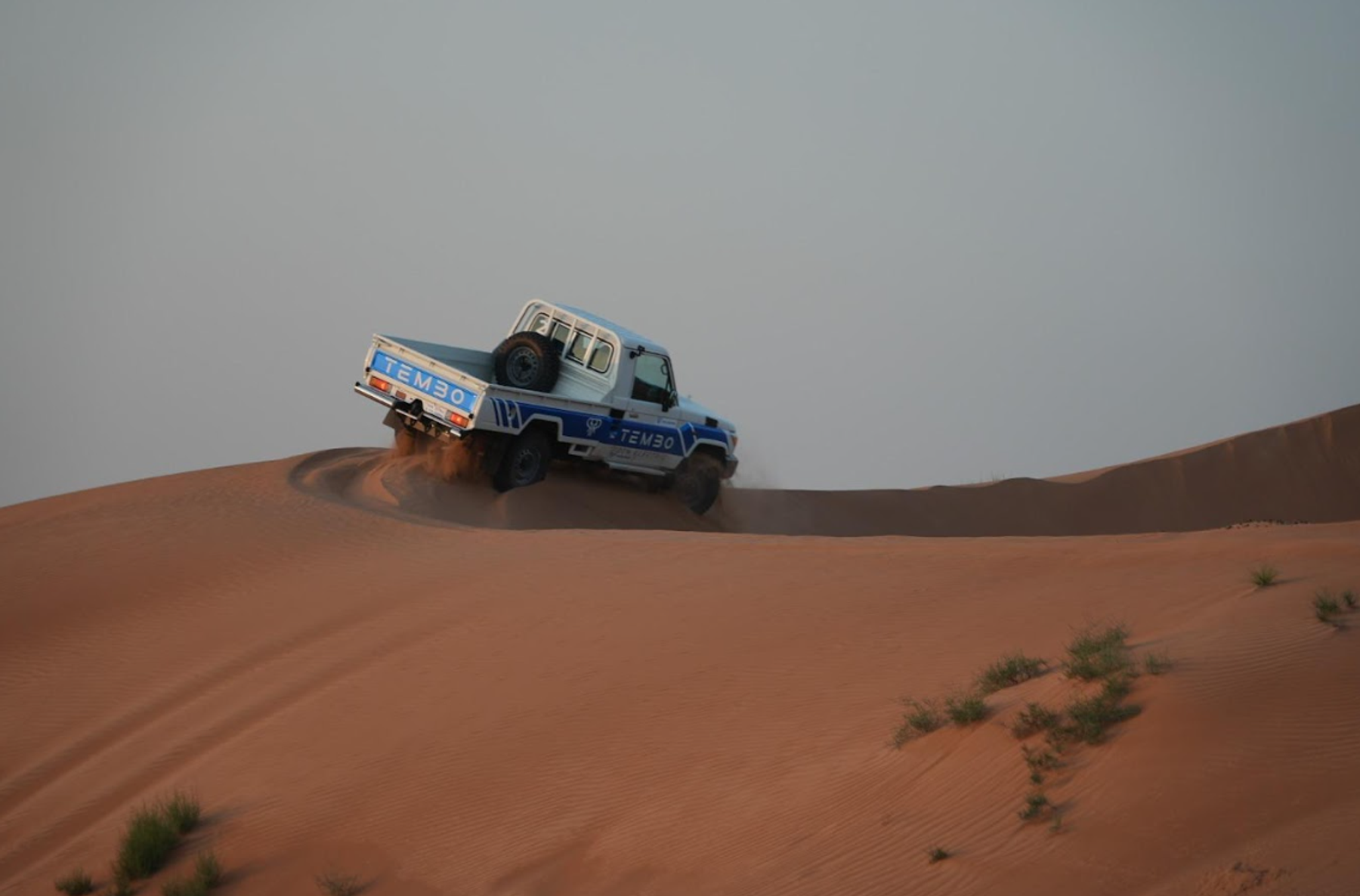Tembo-liveried Land Cruiser 70 series single-cab ute climbing a red sand dune in the desert