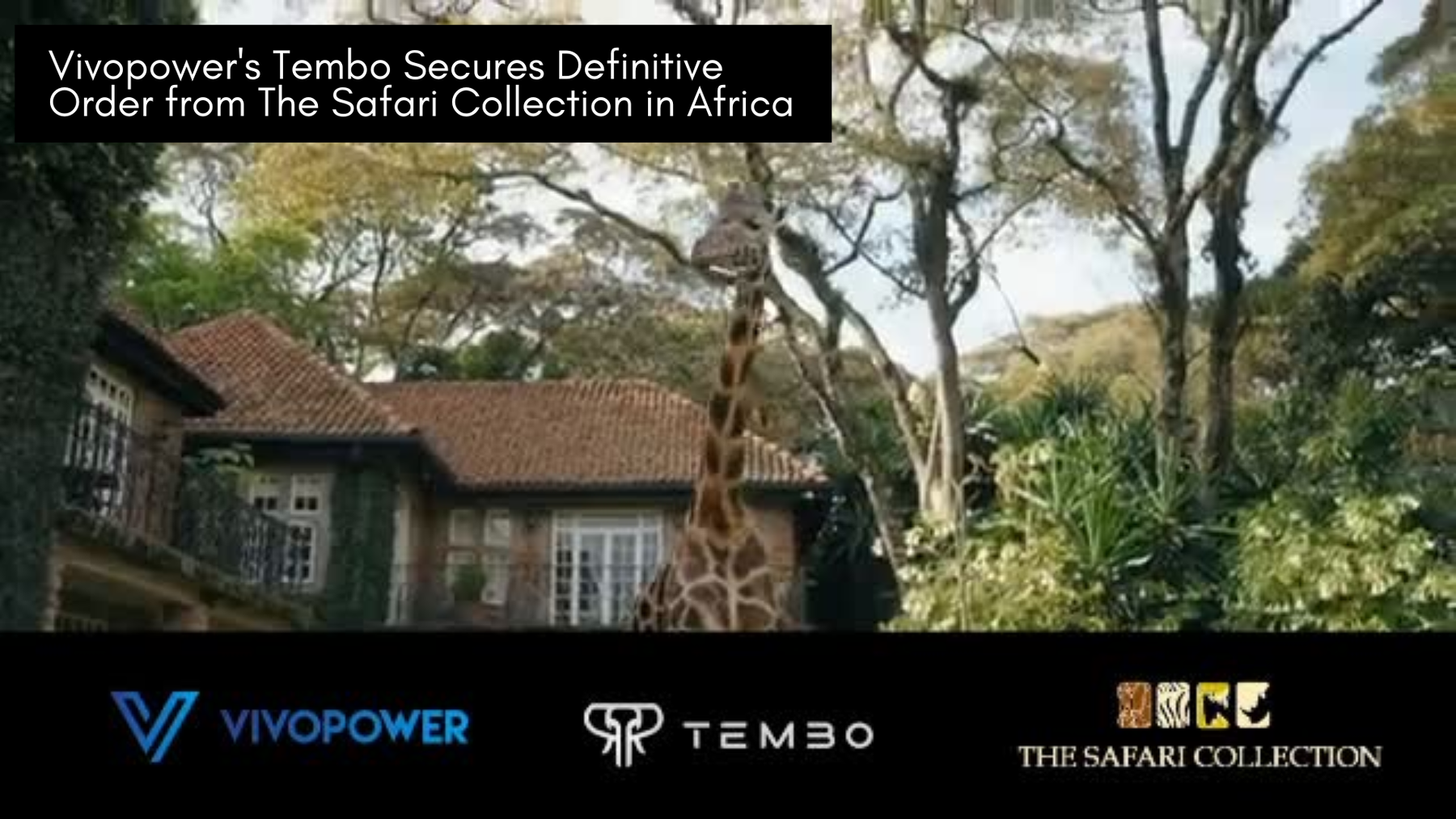Giraffe beside an ivy-covered lodge among trees, with VivoPower, Tembo and The Safari Collection logos