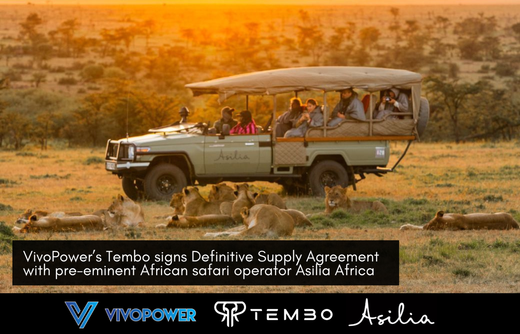 Asilia safari vehicle with guests beside resting lions at sunset, with VivoPower, Tembo and Asilia logos