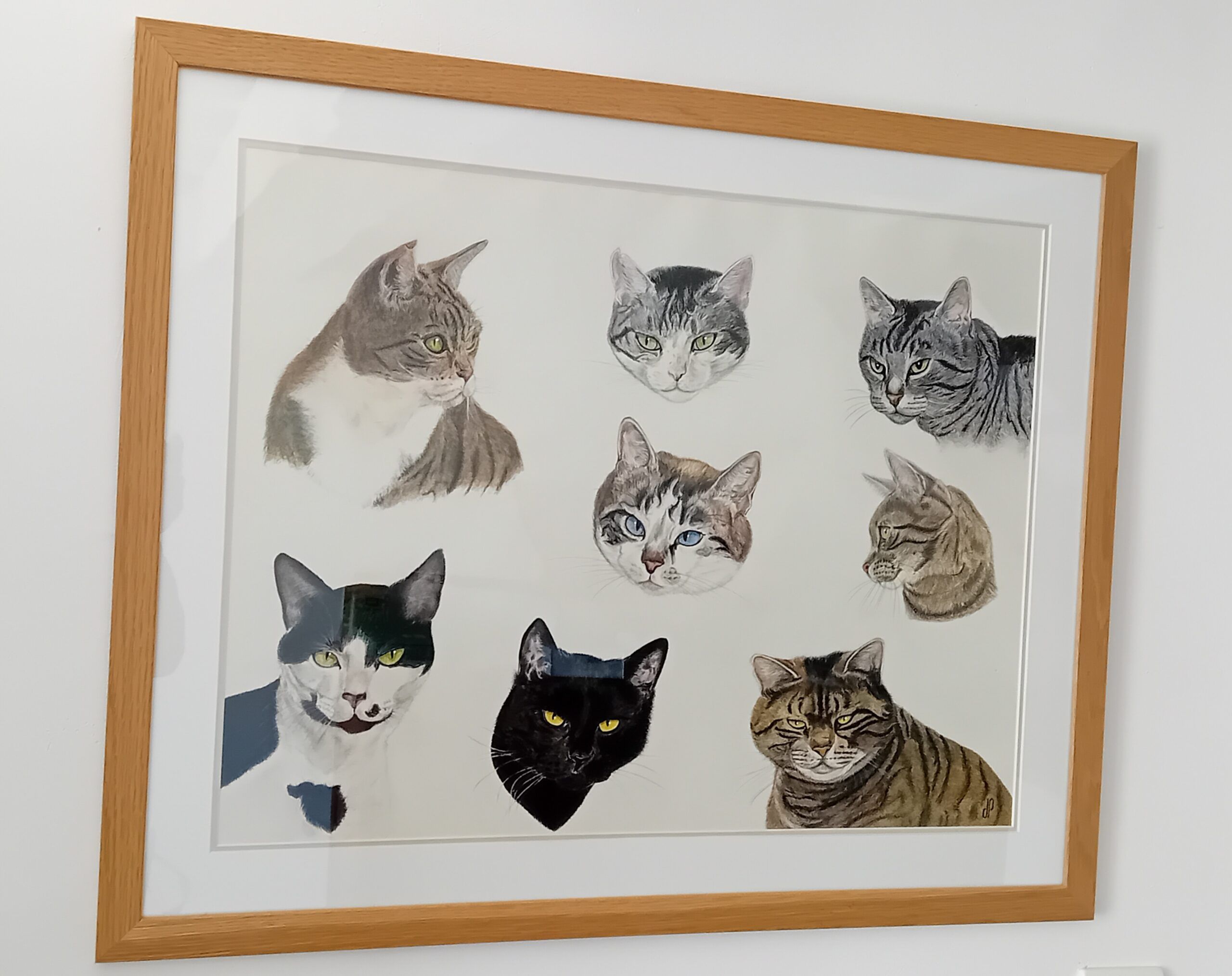 Photo de famille de chats