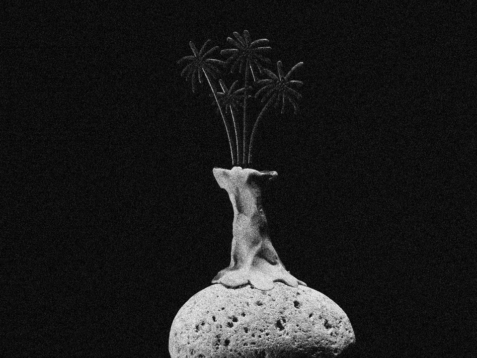 A hand-crafted vase sits alone in the darkness, with palm-tree shaped objects protruding from the opening.