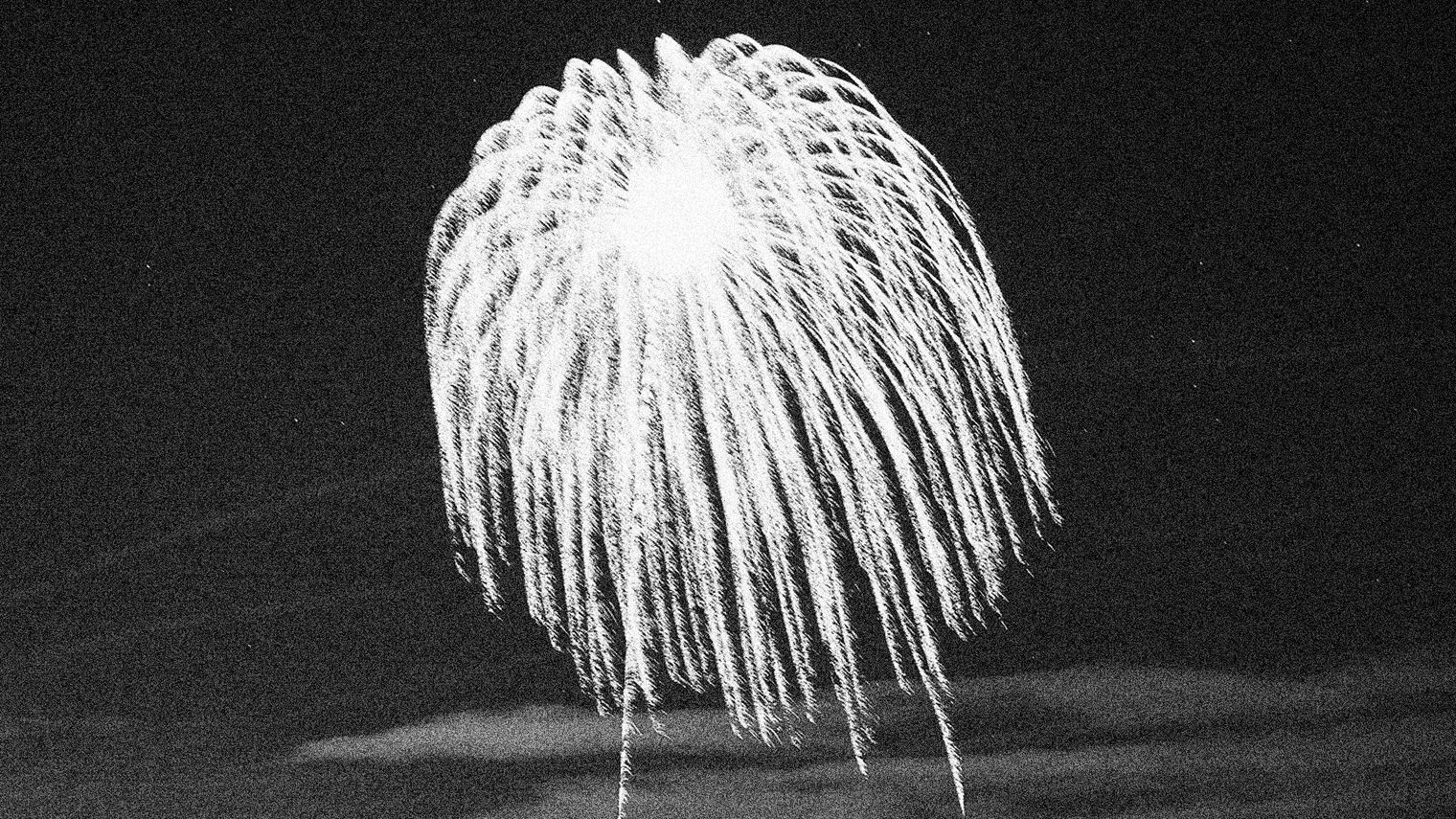 A bright firework exploding in the night sky.
