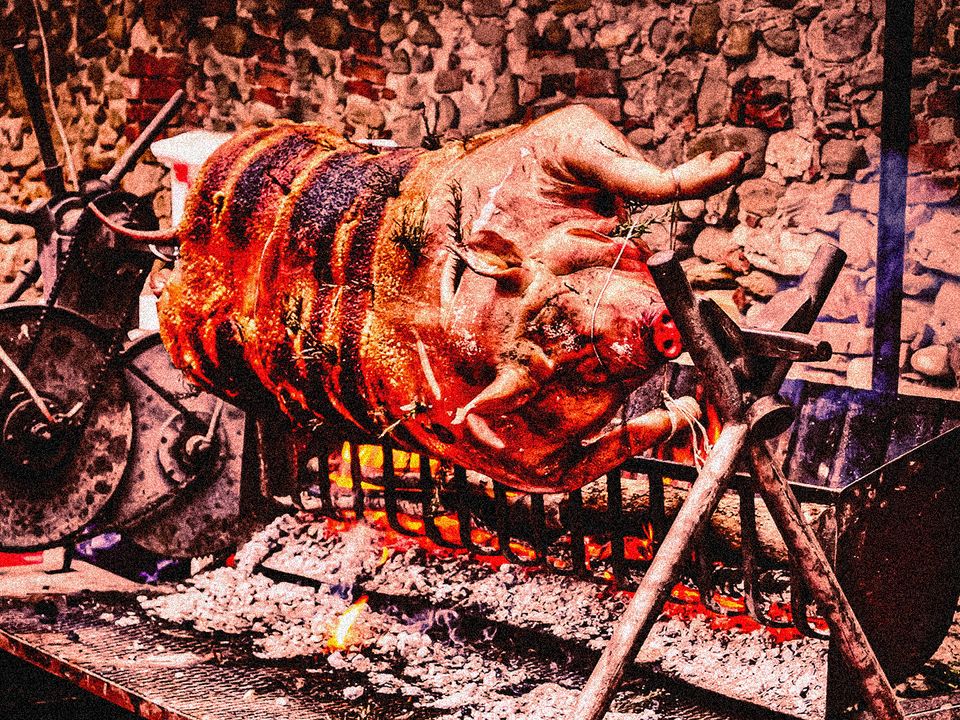 A suckling pig on a spit, roasting over coals. 