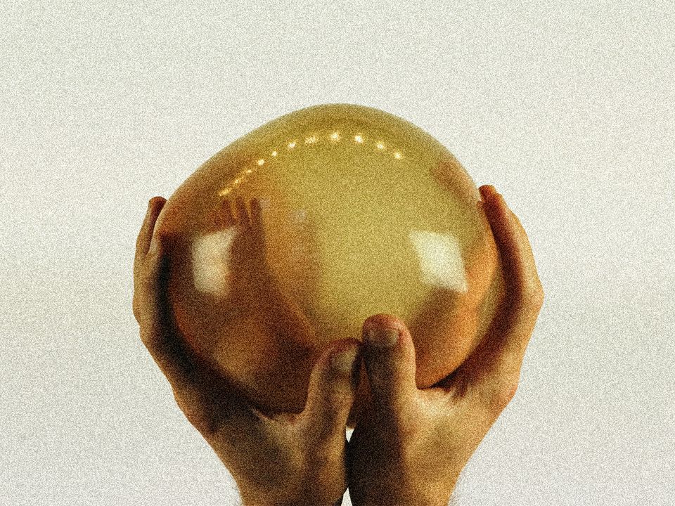 Two hands hold up a large, mysterious and reflective egg-like object.
