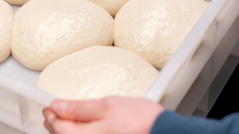 Sourdough testo u fermentaciji - Šarlo 011 zanatska pekara Beograd