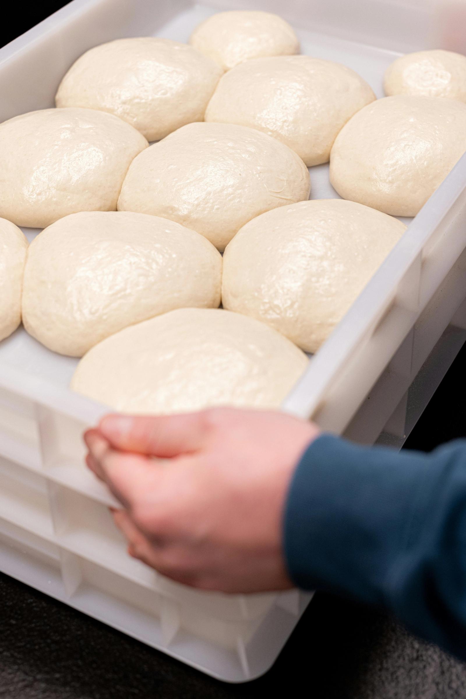 Sourdough testo u fermentaciji - Šarlo 011 zanatska pekara Beograd