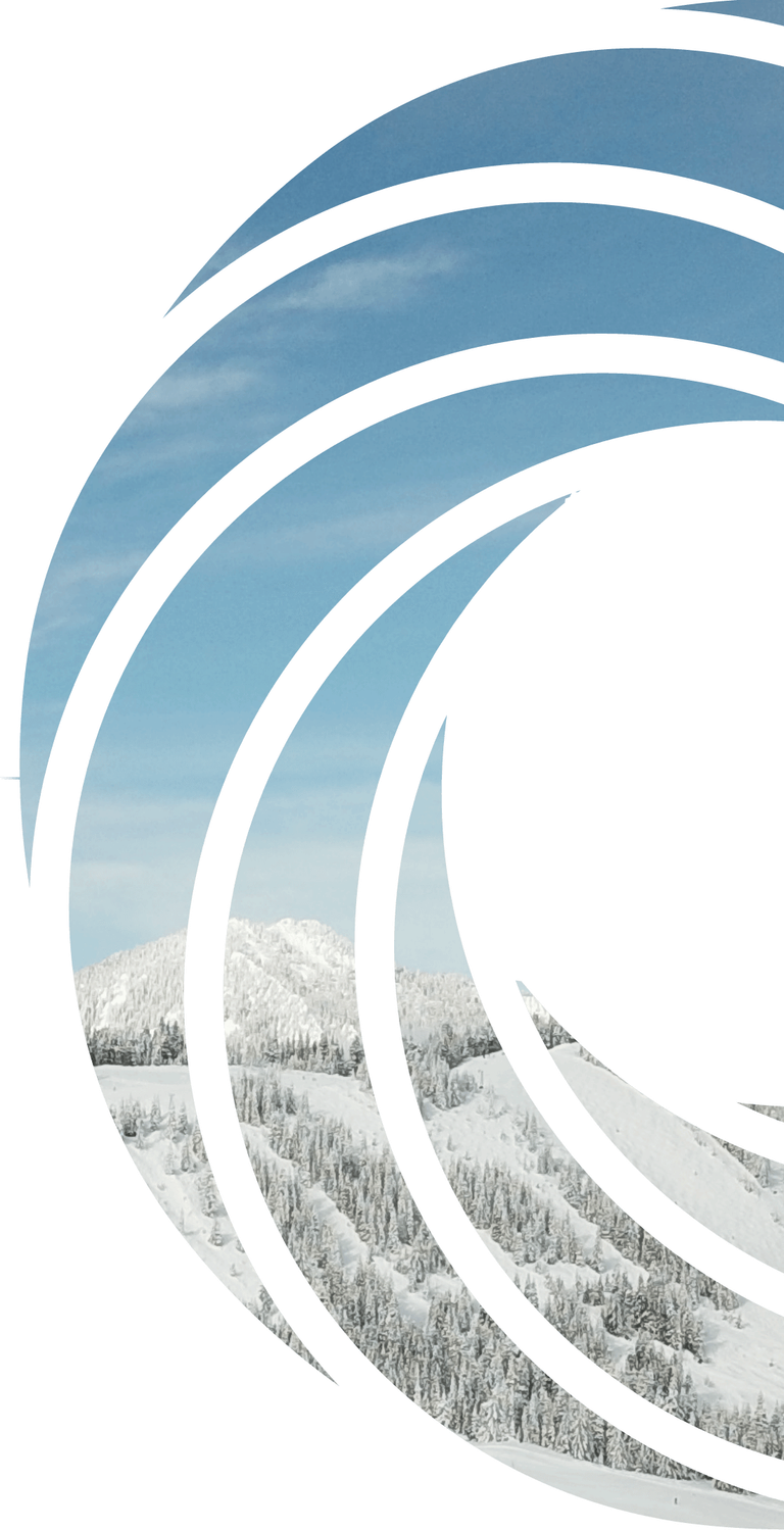 Forever Project Logo Design Layout