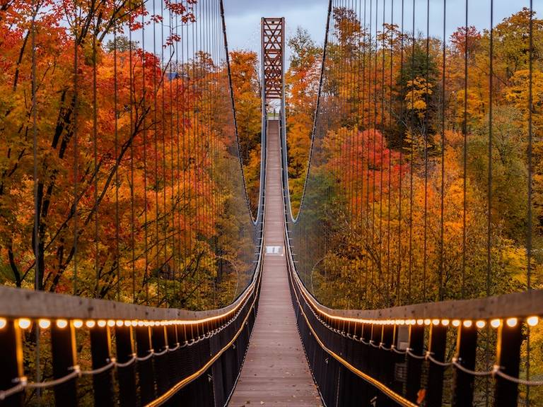 SkyBridge Michigan
