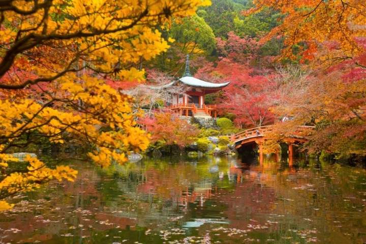 Japan's autumn