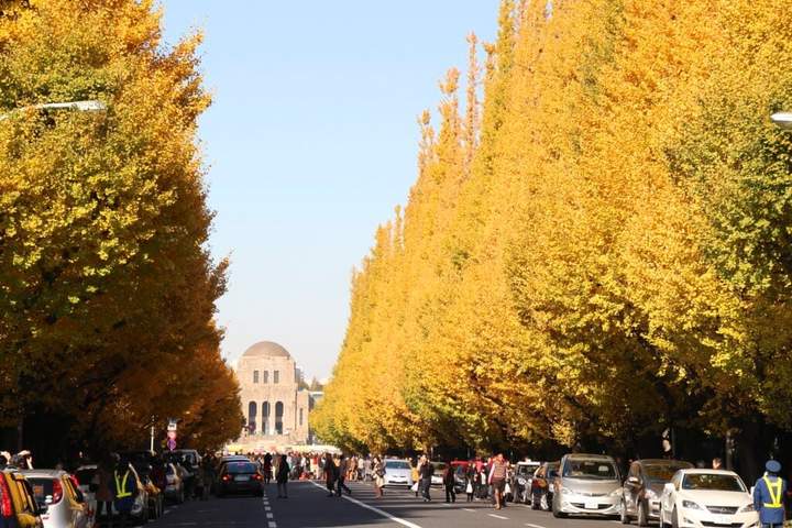 Meiji Jingu Gaien