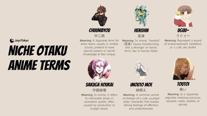niche otake anime terms known mostly to long‑time viewers