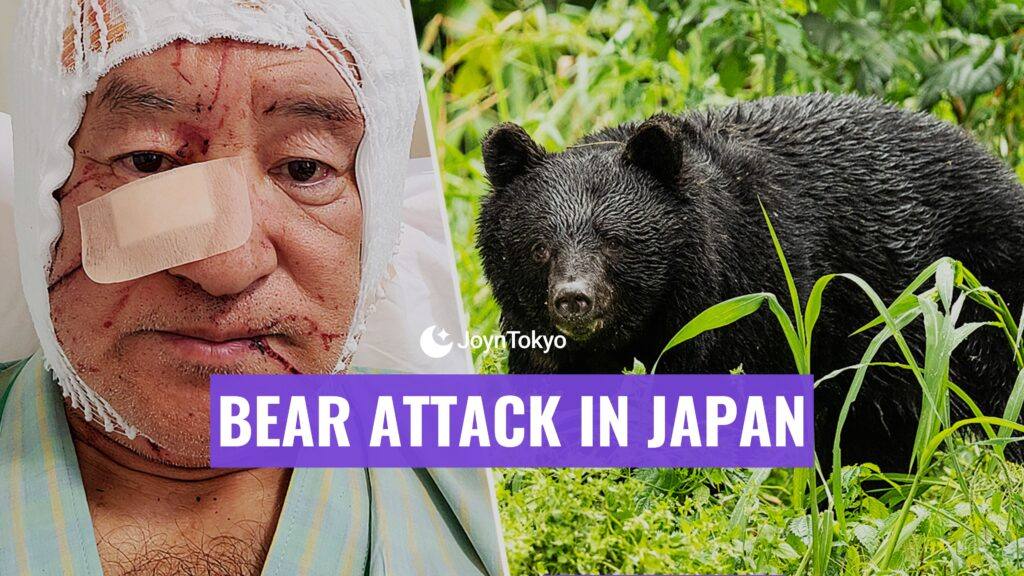 日本熊袭击事件